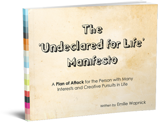 The Undeclared for Life Manifesto The Undeclared for Life Manifesto